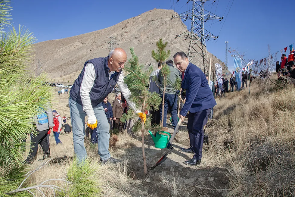 İlimizde Milli Ağaçlandırma Günü Kapsamında Fidan Dikimi Yapıldı