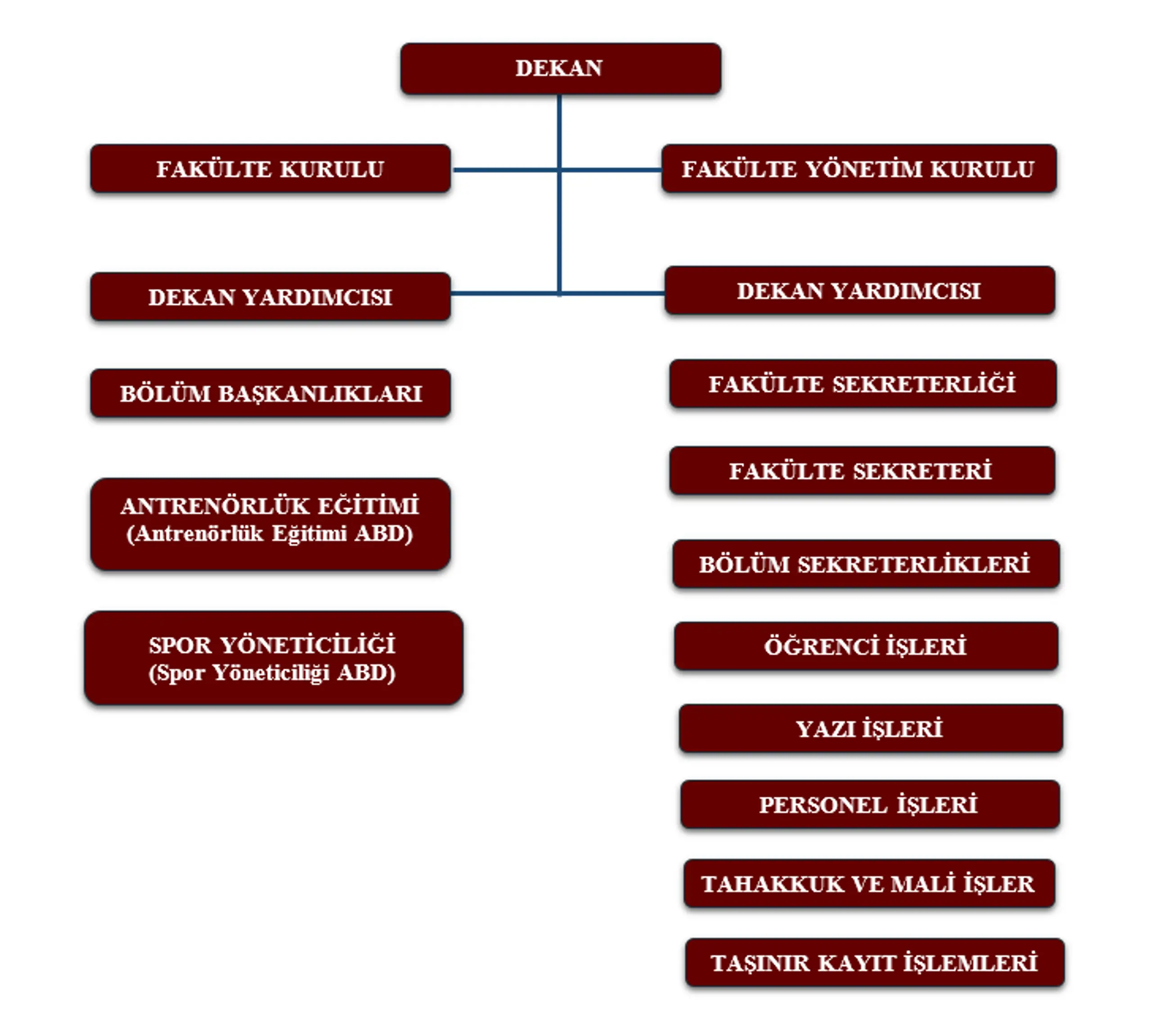284d2407-d206-47c5-837c-ffb6c319ada6.png Organizasyon Şeması