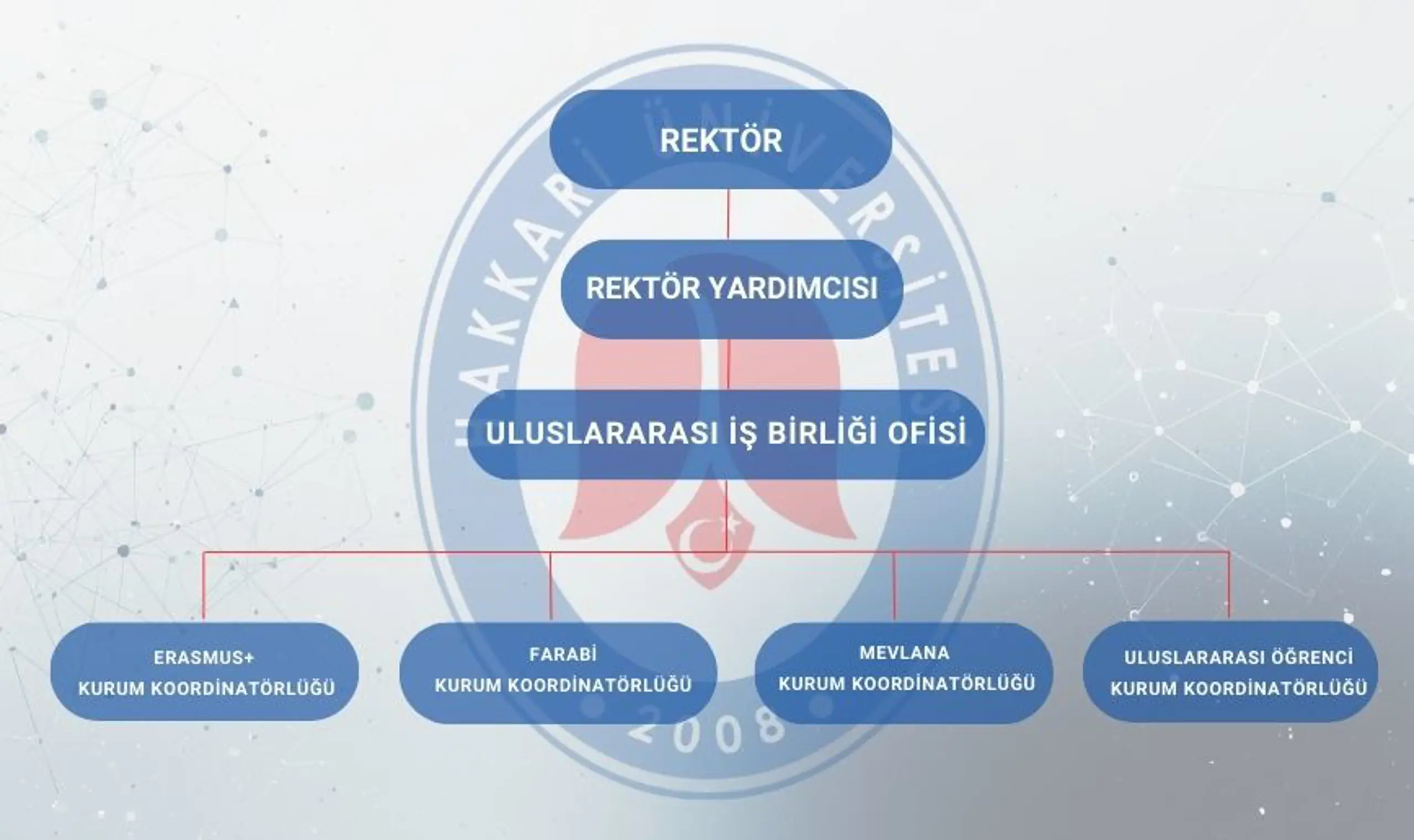 b4331096-5982-4642-9bc1-0c2cde5171d9.png Organizasyon Şeması