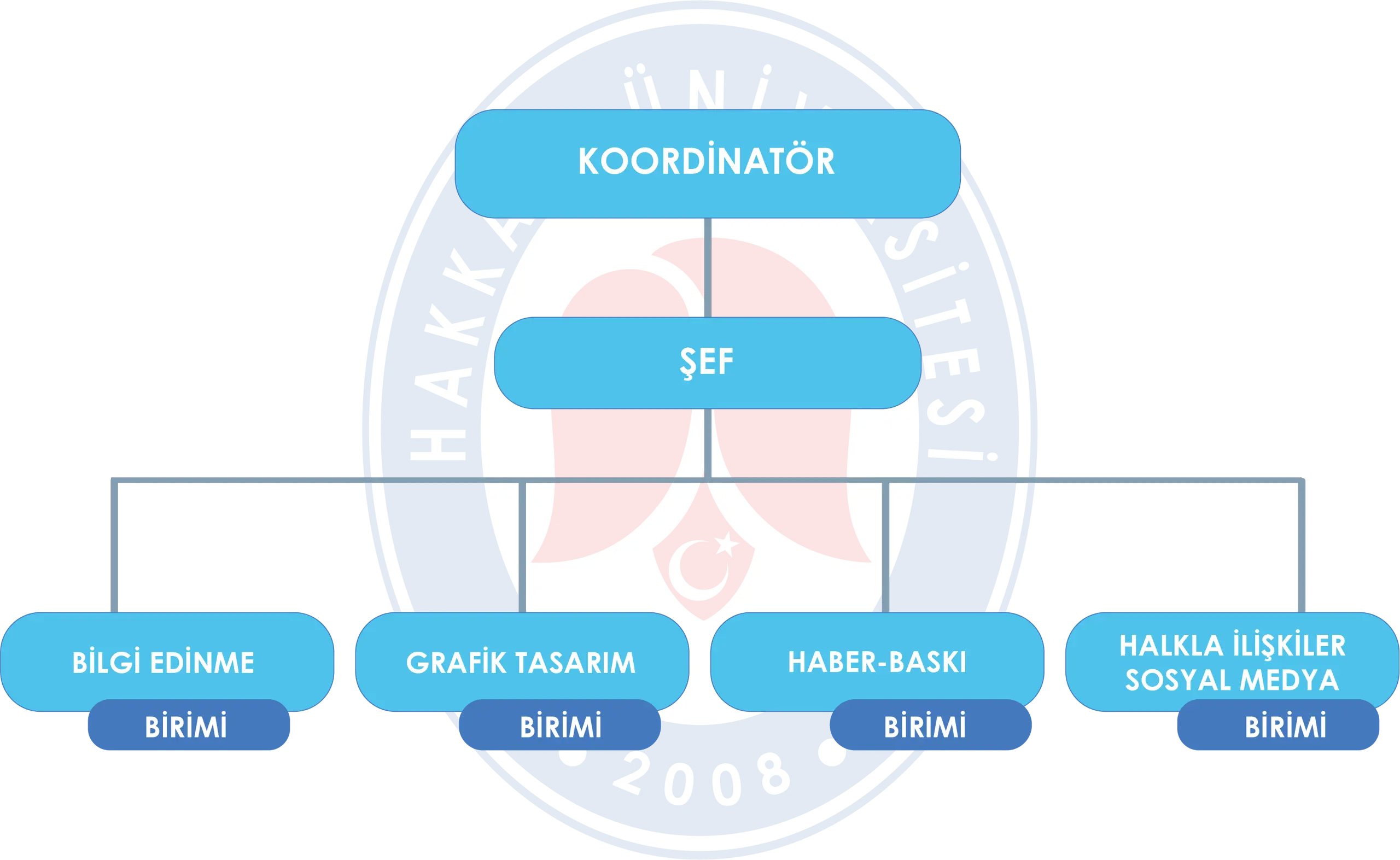 f5d9accb-61e3-4373-8b95-3fe4ad61701d.png Organizasyon Şeması