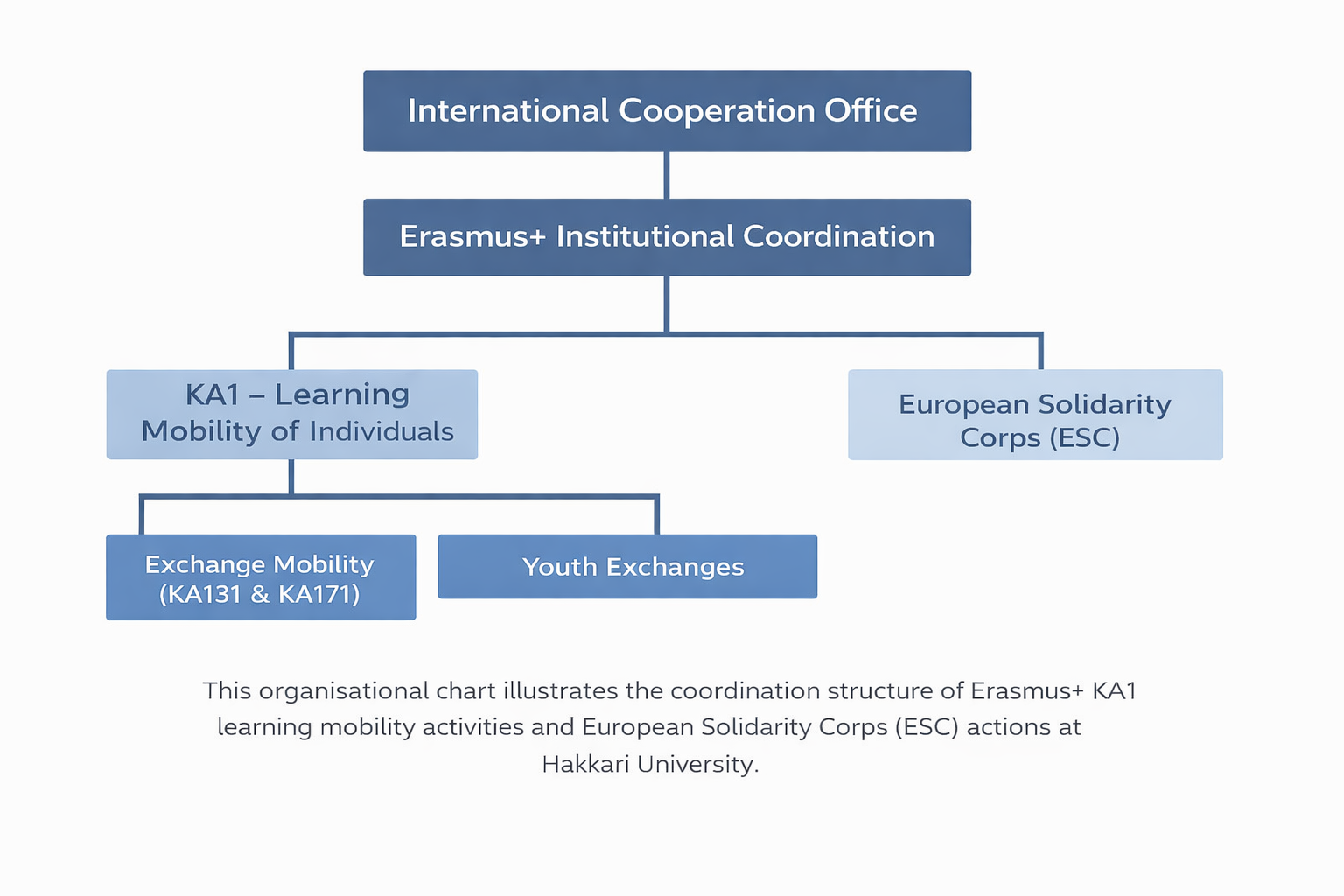 5df245bf-5fc6-4ba6-a10e-1c21b8529ee4.png Organization Chart
